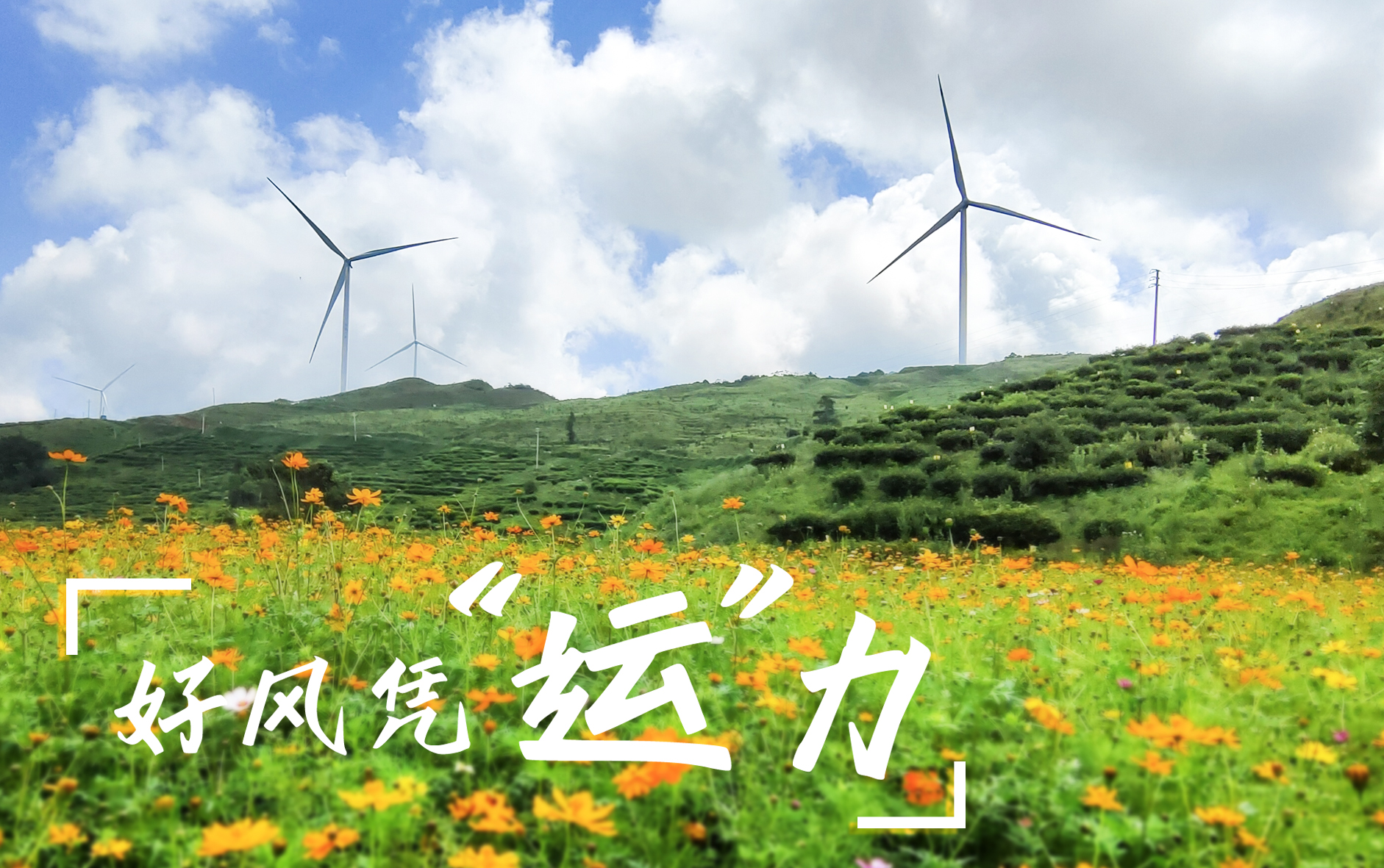 【好風憑“運”力】“大風車”轉出鄉(xiāng)村振興新路子